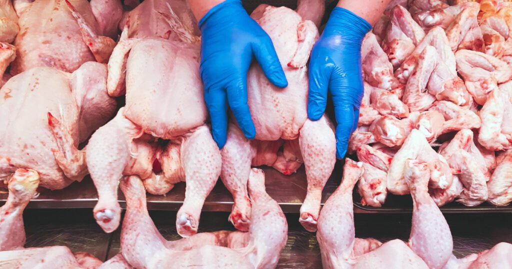 USDA is withdrawing a proposal that sought to reduce Salmonella in poultry