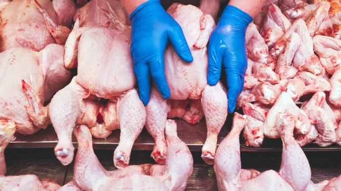 USDA is withdrawing a proposal that sought to reduce Salmonella in poultry