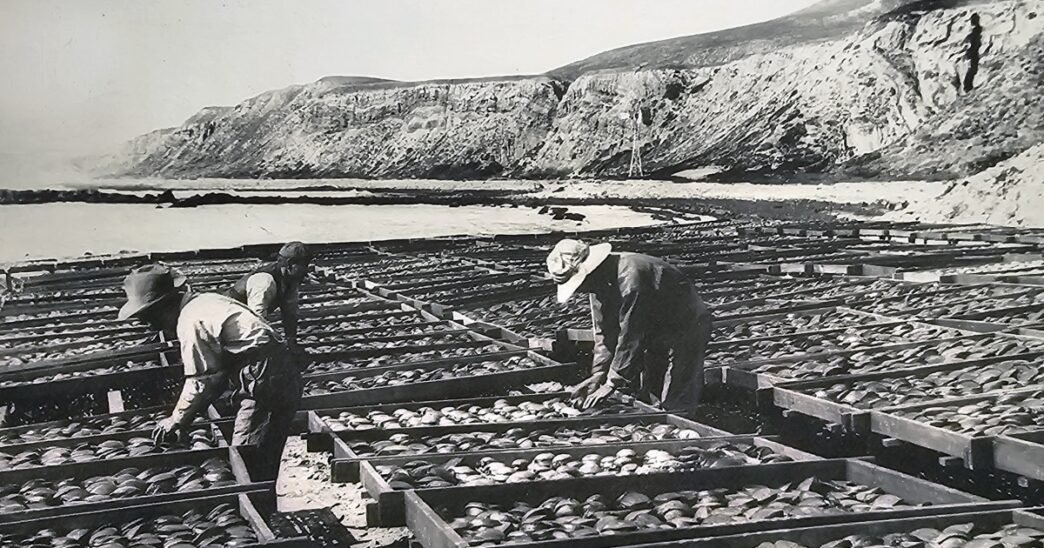 A Japanese village that helped develop California's fishing industry could become container storage
