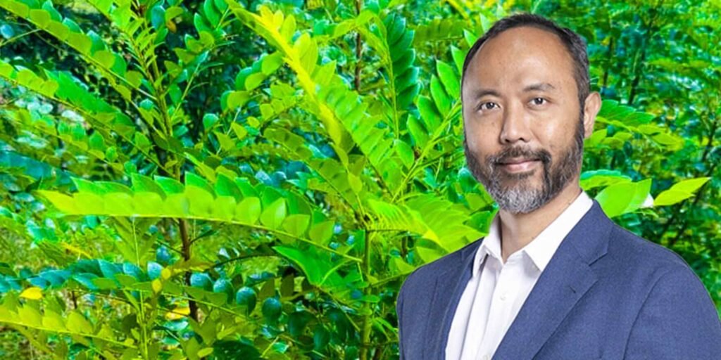 A plant that can 'mine' nickel? Malaysia sets 2026 harvest date