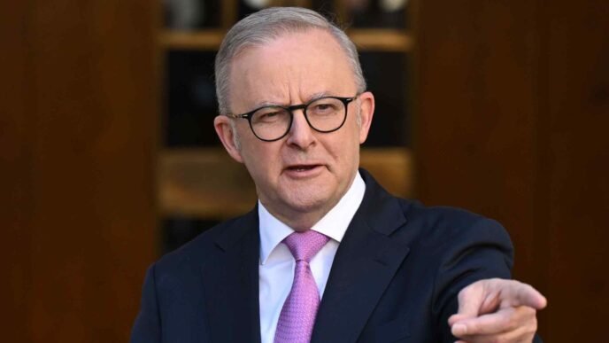 Albanese faces Trump test with Australia's minerals as potential tool