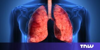 Bioprinted organs ‘10–15 years away,’ says startup regenerating skin