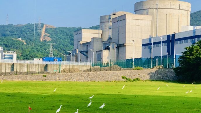 China’s pioneer nuclear power station Qinshan strives for new milestone after 4 decades of glory