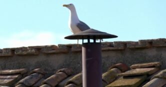 Conclave officially begins to select a new pope