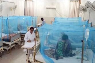 Dengue Vaccine Sales Increased by 259%