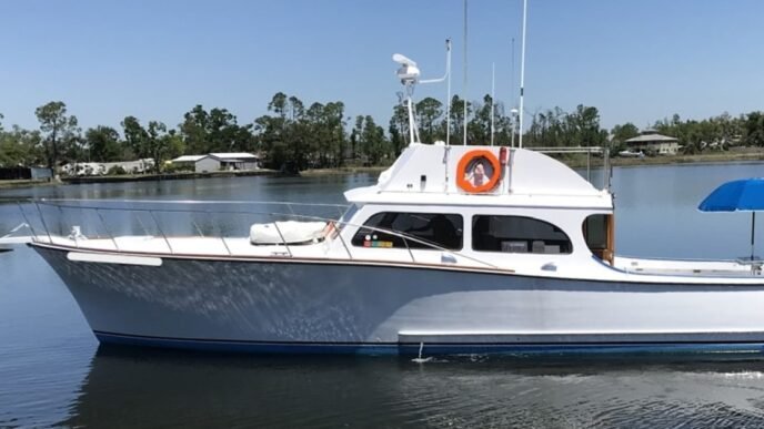Florida man who shot and poisoned dolphins sentenced to 1 month