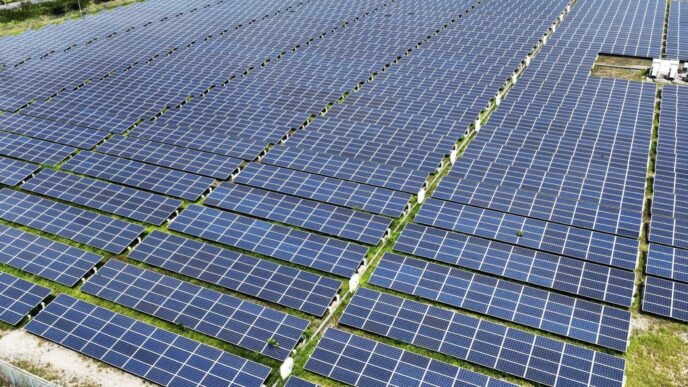 Foreign companies bet on Japan's battery energy storage market