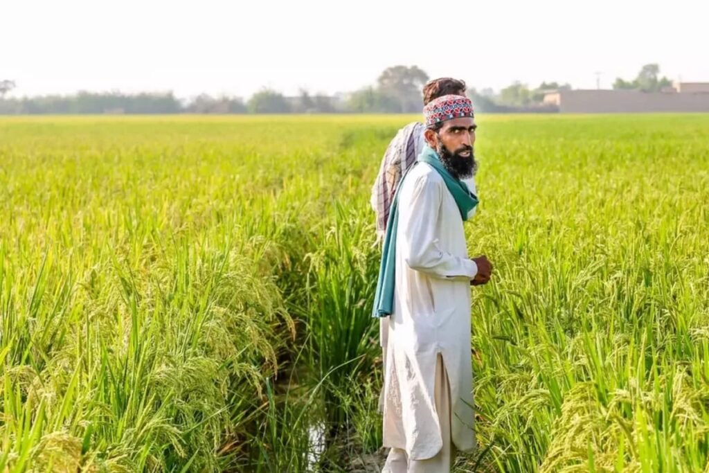 Govt to provide agricultural loans to farmers on easy terms