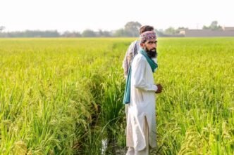 Govt to provide agricultural loans to farmers on easy terms