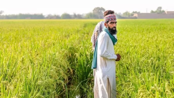 Govt to provide agricultural loans to farmers on easy terms