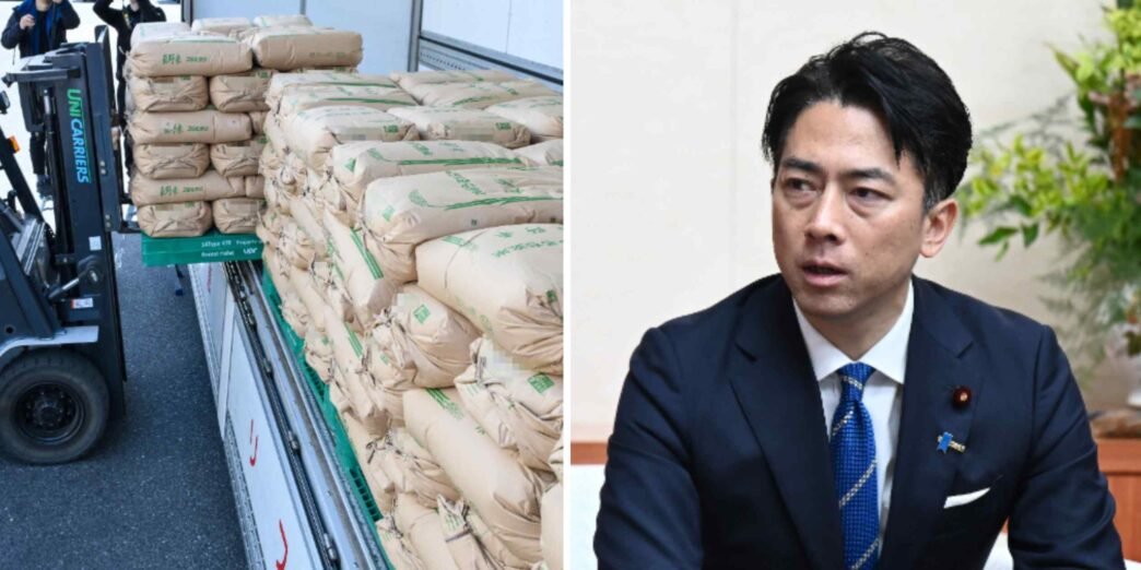 Japan farm minister vows to halve prices as rice crisis drags on