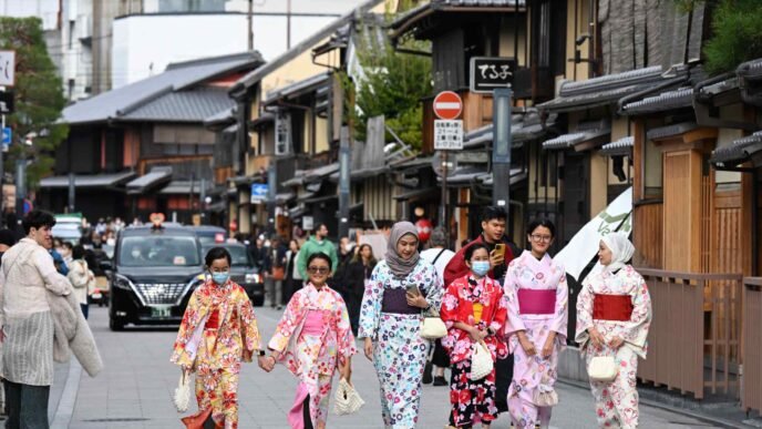 Japan to introduce US-style online visitor entry system in FY2028