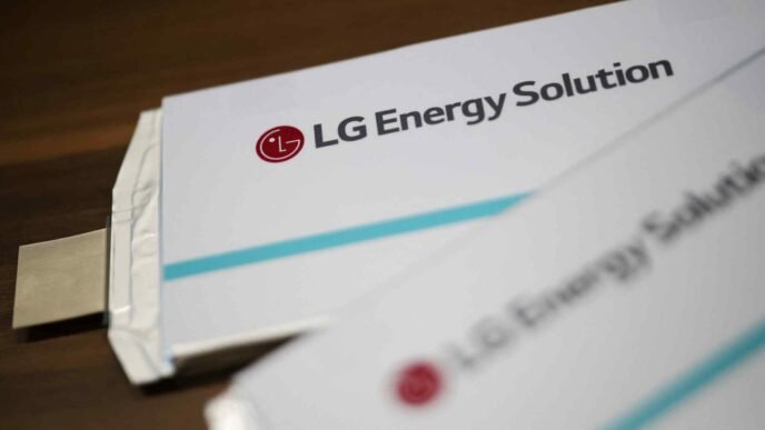LG Energy faces obstacles diversifying US anode supply chain for EV batteries
