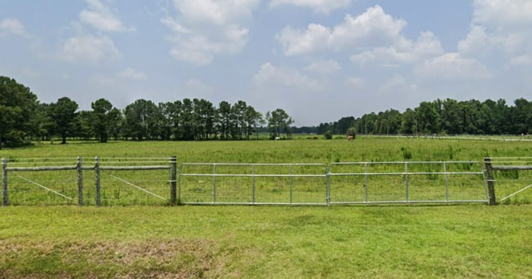 Man found dead in a wallaby and kangaroo enclosure in South Carolina