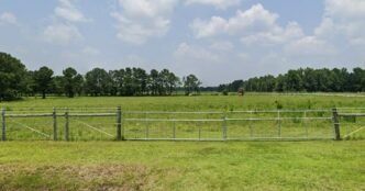 Man found dead in a wallaby and kangaroo enclosure in South Carolina