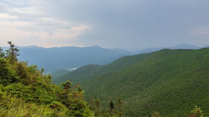 Mushroom-tripping hikers mistakenly report a companion's death, officials say