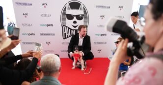 No scenery was chewed — Icelandic sheepdog awarded with 'Palm Dog' in Cannes