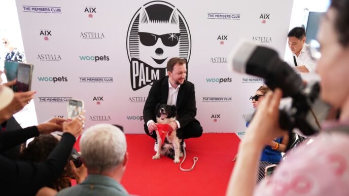 No scenery was chewed — Icelandic sheepdog awarded with 'Palm Dog' in Cannes
