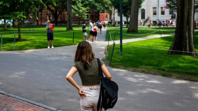 Overseas schools are eager to take international students affected by Trump's Harvard ban