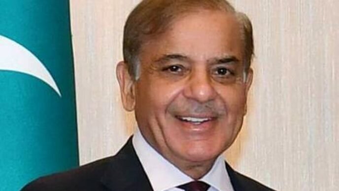 Pakistan ready to welcome $2b investment from Azerbaijan: PM