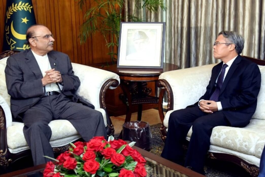 President Zardari, Chinese envoy discuss India-Pakistan situation