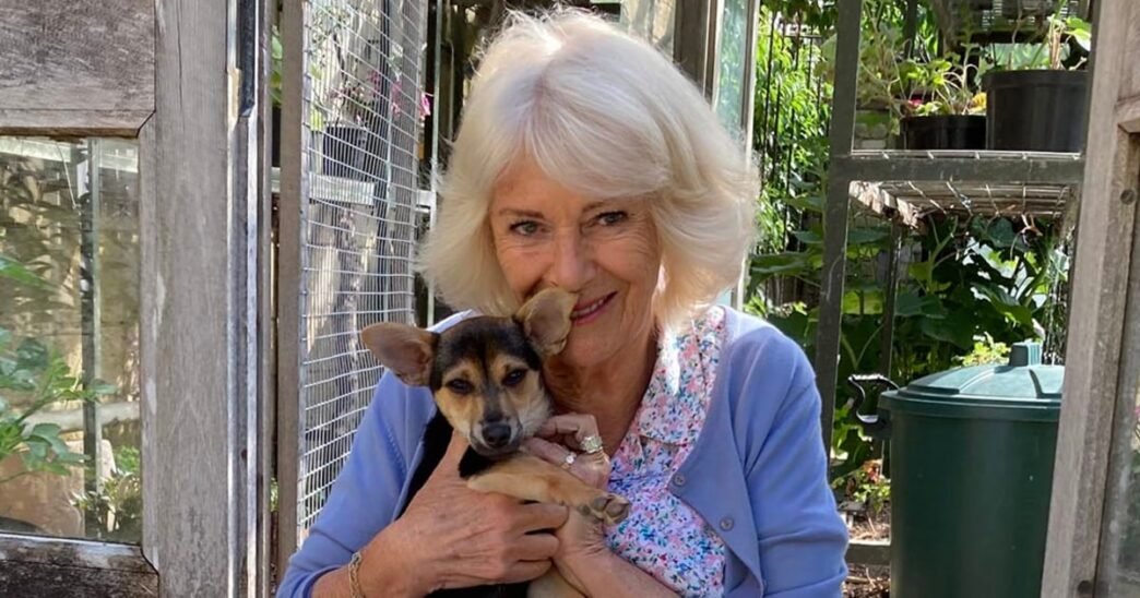 Queen Camilla shares first photos of new royal pup, Moley