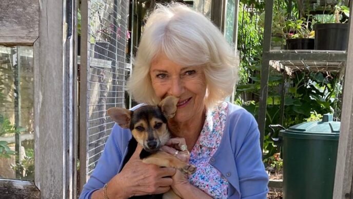 Queen Camilla shares first photos of new royal pup, Moley
