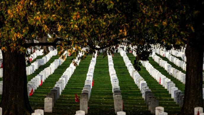 Trump to speak at Arlington National Cemetery to mark Memorial Day
