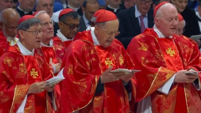 Will the next pope reflect Francis’ values?