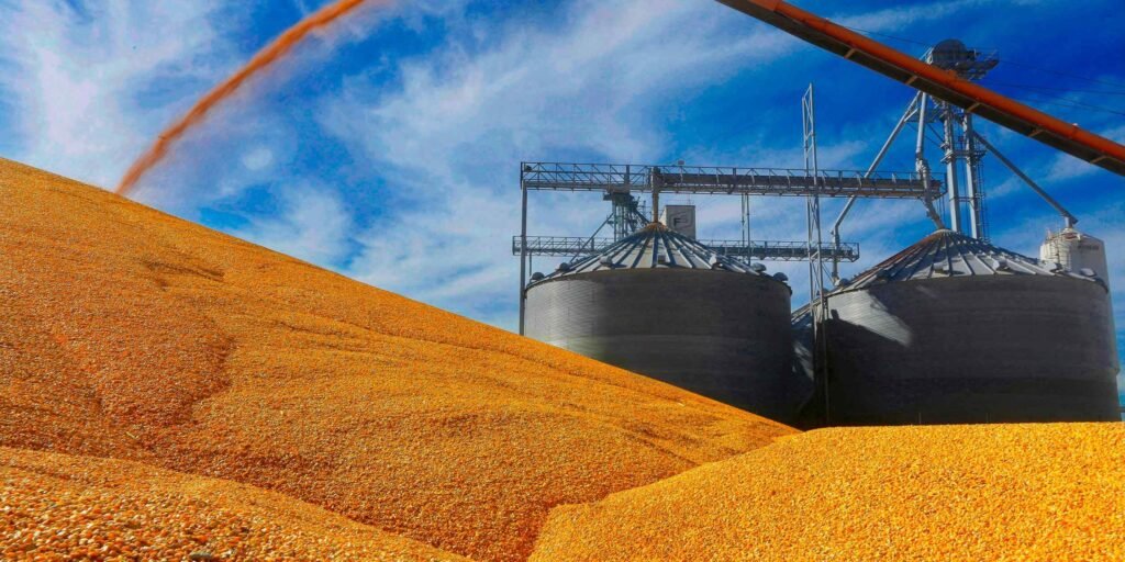 As China seeks to end food dependence, US corn heads to Europe