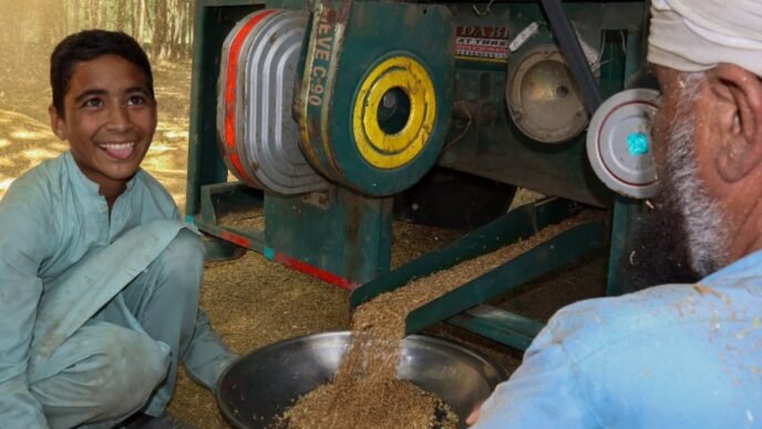 BRAVE Project brings wheat windfall and festive cheer to Charsadda