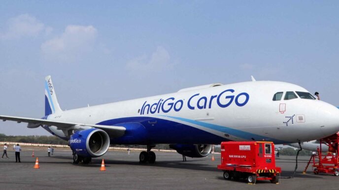 Global airlines soar into Indian skies to ferry growing ridership