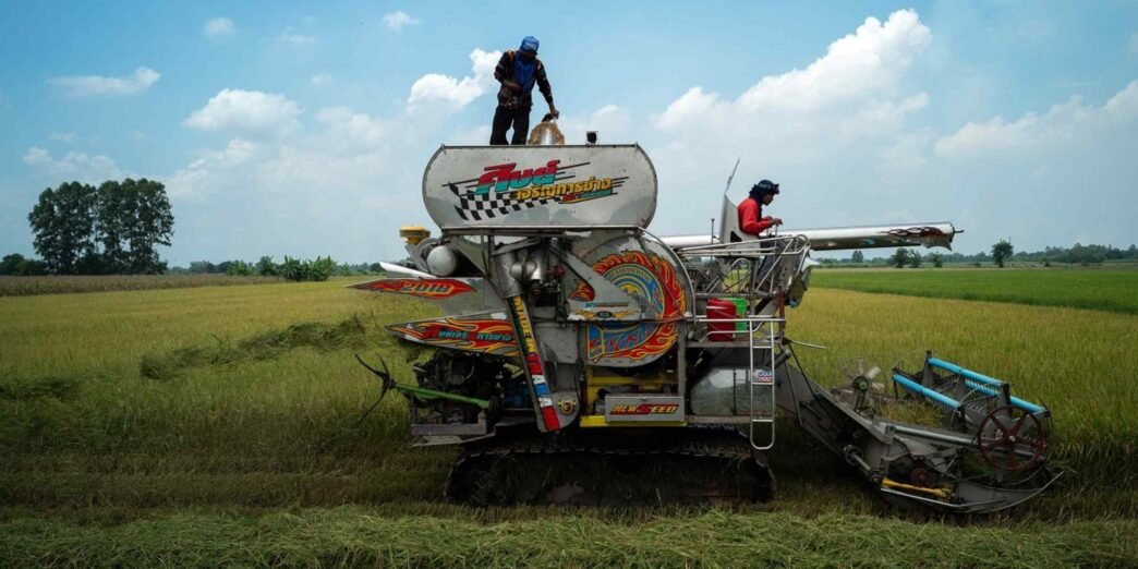 Japan turns to Thai and Vietnamese rice as prices soar