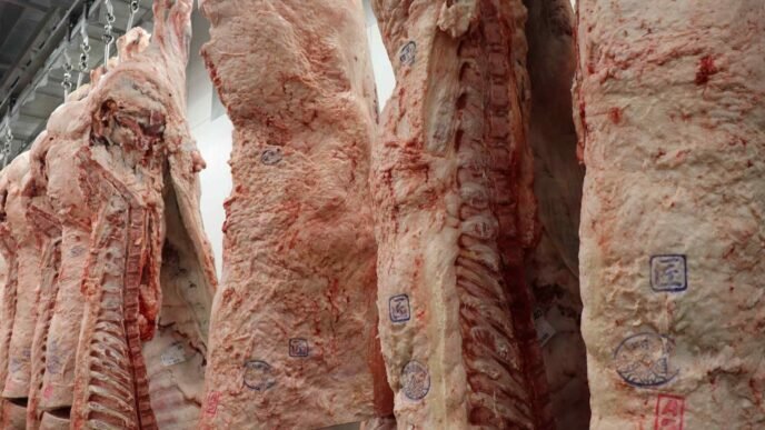 Japan wagyu exports to US fall as Trump tariffs bite