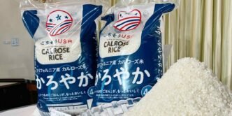 Japan's May rice imports surge as companies shrug off heavy tariff