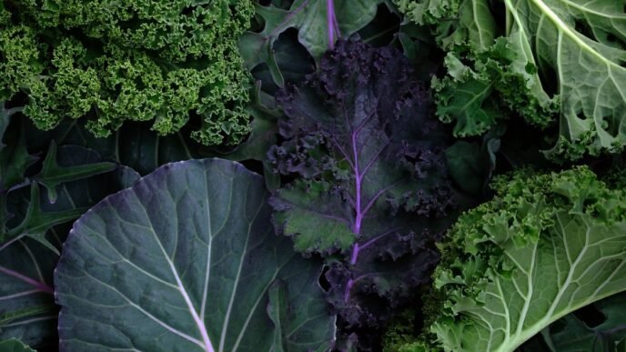 MIND diet may reduce Alzheimer’s risk for older adults, new study finds