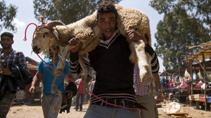 Moroccans to observe Eid-ul-Azha without animal sacrifice amid economic crisis