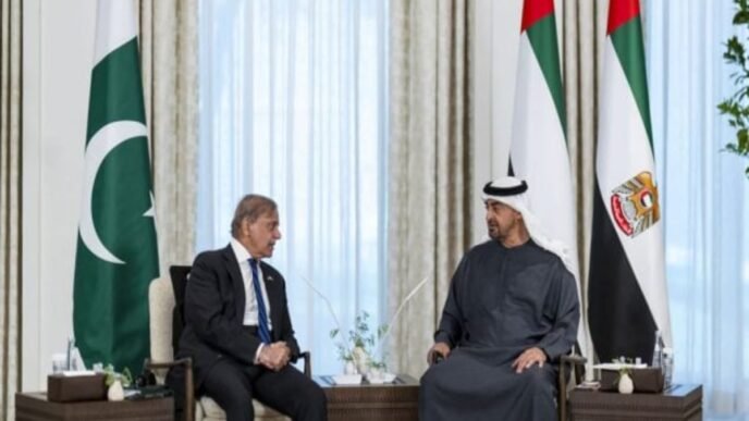 PM Shehbaz, UAE President discuss to strengthen bilateral relations