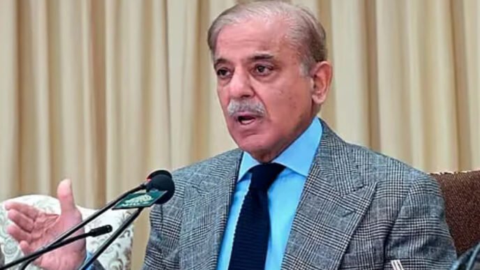 PM Shehbaz denounces Israeli airstrikes on Iran