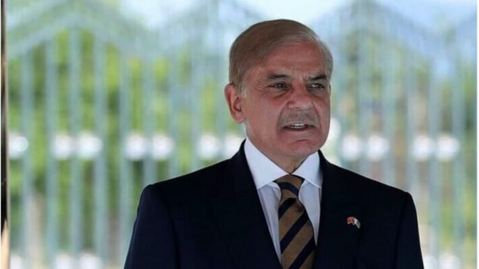 PM Shehbaz stresses urgent completion of Diamer Bhasha Dam