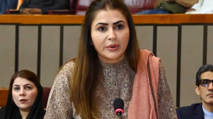 PPP strongly rejects tax on solar panels
