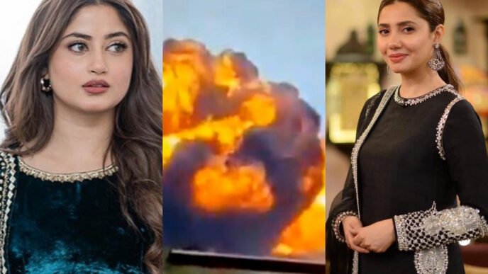 Pakistani Celebrities mourn victims of Indian plane crash
