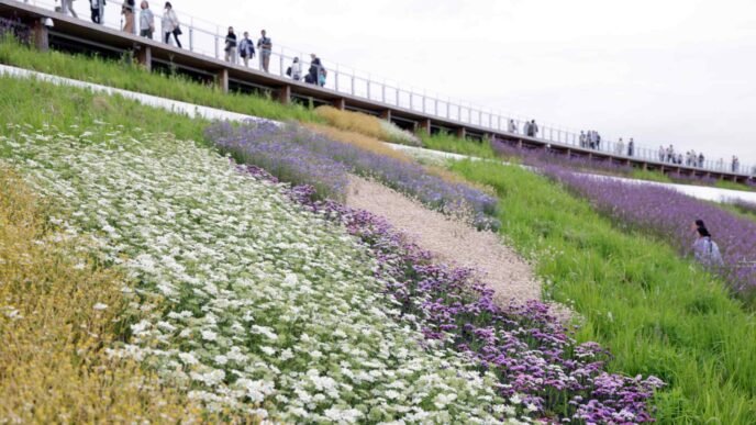 Sky garden in full bloom atop Osaka Expo's Grand Ring