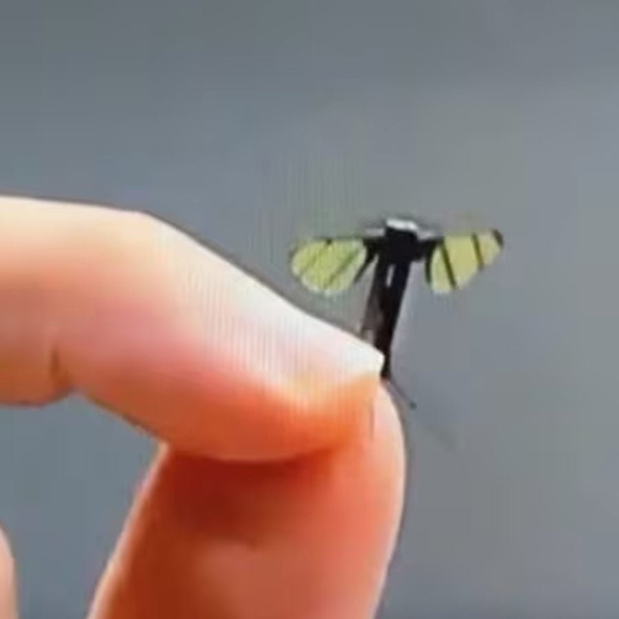 Smaller than ever, China introduces 0.6 cm stealth drone