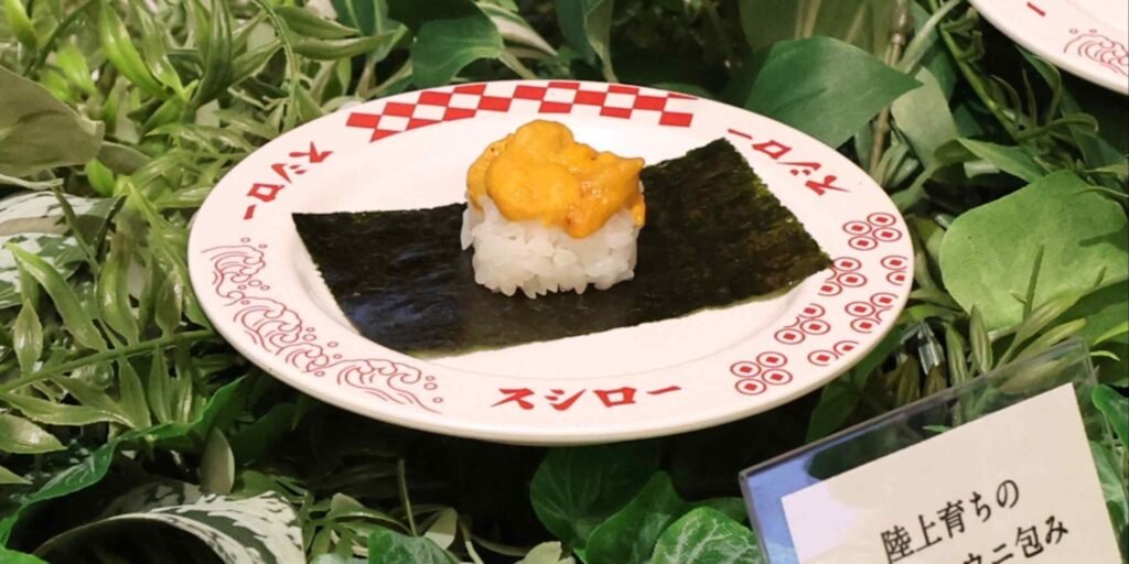 Sushiro sushi operator to begin farming sea urchins on land