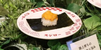 Sushiro sushi operator to begin farming sea urchins on land