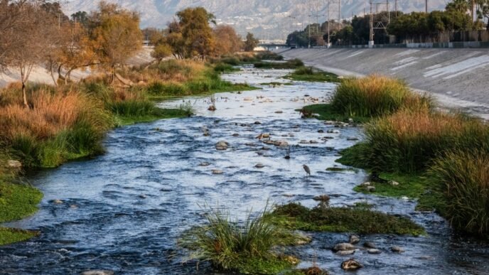 This California startup is cleaning water and removing CO2 from the atmosphere — all at a reduced cost