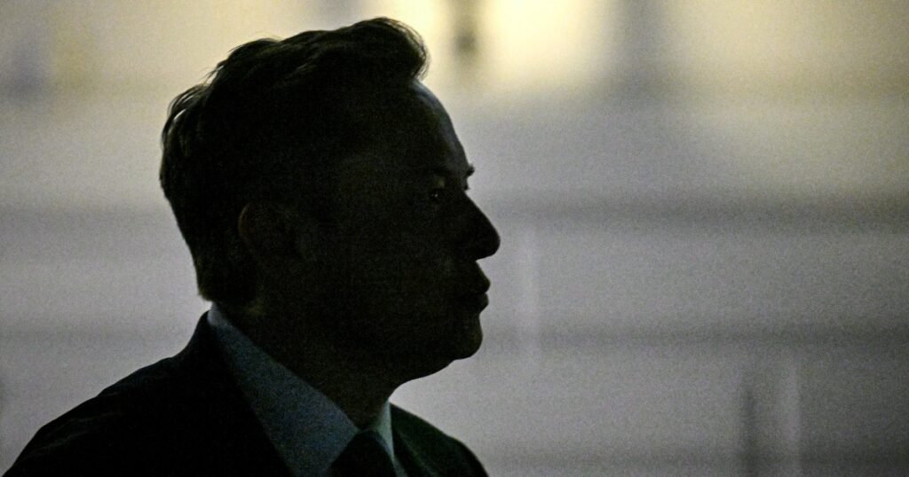 WI group sues Elon Musk, alleging million-dollar giveaways were bribes
