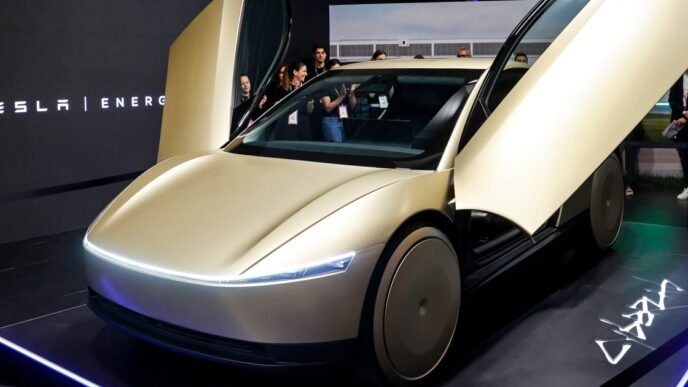 What to expect when (or if) Elon Musk launches a Tesla robotaxi service