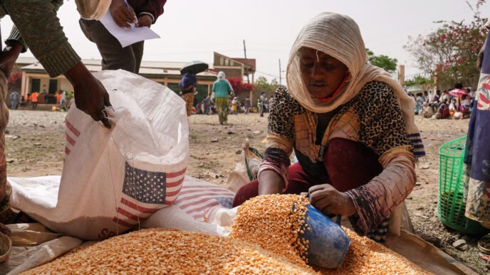 USAID cuts could lead to 14 million deaths over the next five years, researchers say